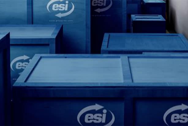 Group ESI: customized art storage